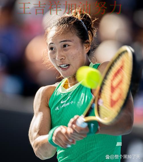 世界杯预选赛阵容变化盘点：郑钦文表现抢眼 使竞争形势愈发激烈