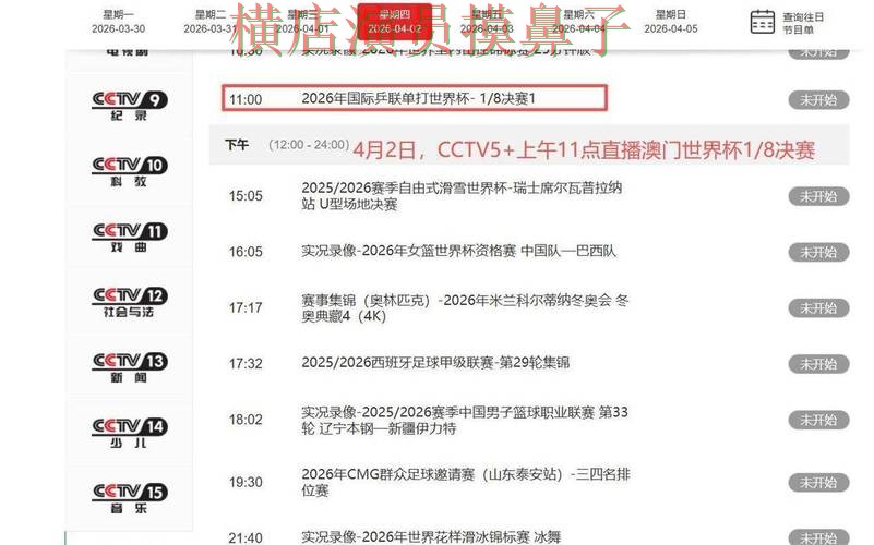 世界杯官方信息背景下的世界杯买球平台推荐与访问方式直播解析